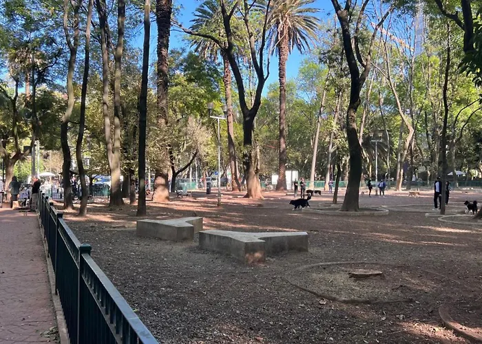 Condesa Campeche 11 Exceptional 2br, 1ba With Grand Living Space